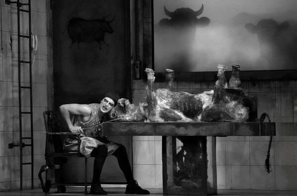 Photograph Alireza Golzade Cow on One Eyeland