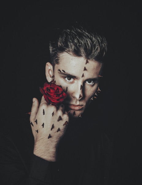 Photograph Veronika Gergert Rose on One Eyeland