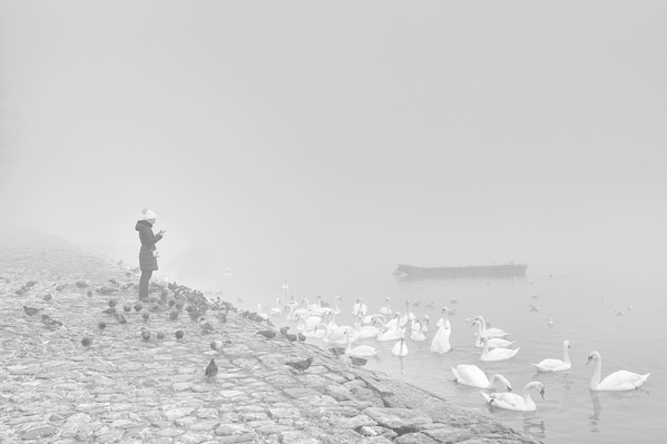 Photograph Mikica Kosanovic Fog on One Eyeland