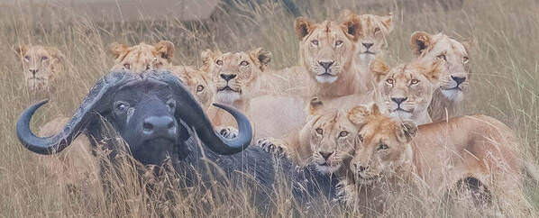 Photograph Rohan Shah A Family Meal on One Eyeland