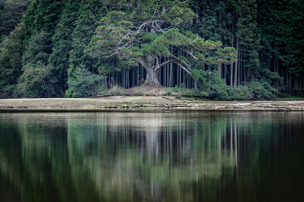 Photograph Mel Yukiina Stripes On The Water Surface on One Eyeland
