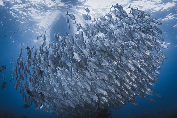Photograph Go Nagai They All Start Moving At Once on One Eyeland