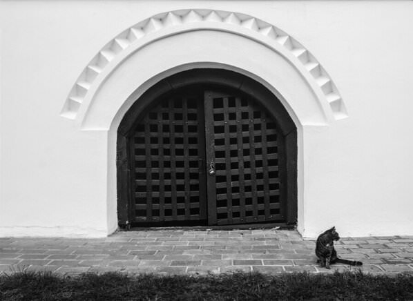 Photograph Catalin Alexandru Waiting on One Eyeland