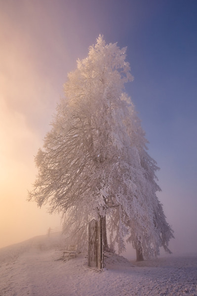 Photograph Judith Kuhn Poetry In The Morning Light on One Eyeland