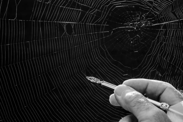 Photograph Peter Dolniak Spider Silk on One Eyeland