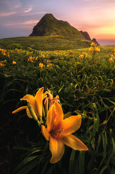 Photograph Hiroki Matsubara Sunset On The Flowering Island on One Eyeland