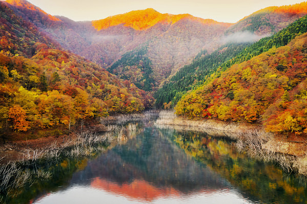 Photograph Mel Yukiina Autumn By The Lake on One Eyeland