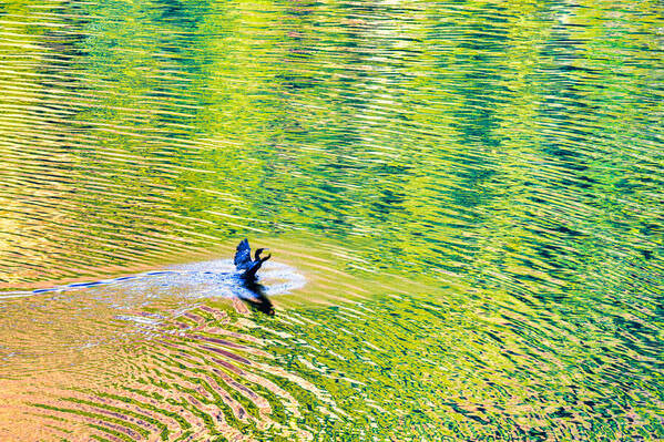 Photograph Mel Yukiina In The Green on One Eyeland