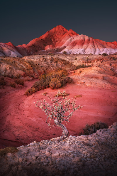 Photograph Roksolana Baran Survivor on One Eyeland