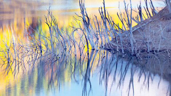 Photograph Mel Yukiina Rainbow Lakeside on One Eyeland