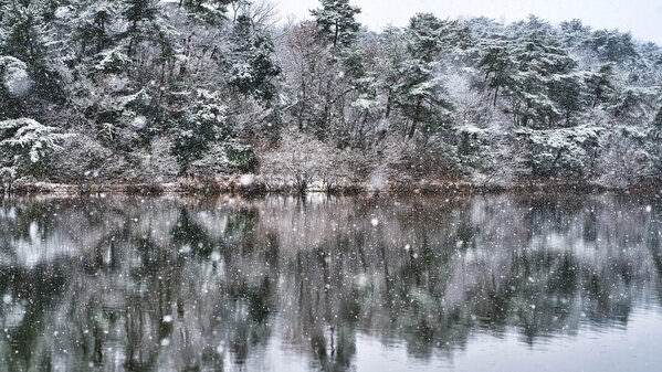 Photograph Mel Yukiina Winter Colors on One Eyeland