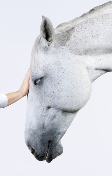 Photograph Helga Madajova Fany on One Eyeland