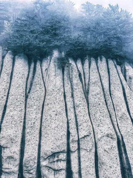 Photograph Yulia Nikiforova Mountain Forest on One Eyeland