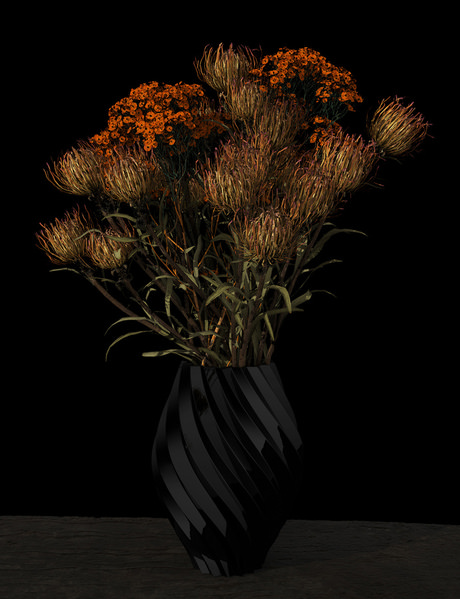 Photograph Alexandre Utrabo Plant on One Eyeland