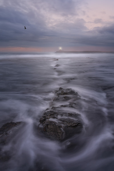 Photograph Markus Albert Stormy Morning on One Eyeland