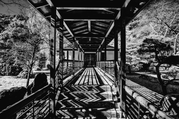 Photograph Mel Yukiina Corridor Of Shadows on One Eyeland