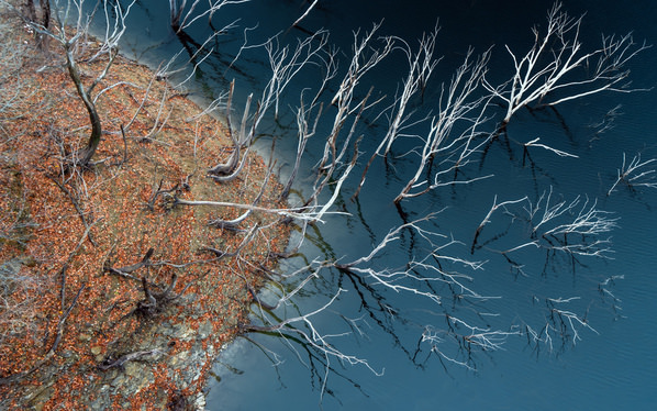 Photograph Mel Yukiina Branches Sinking Into An Azure Dream on One Eyeland