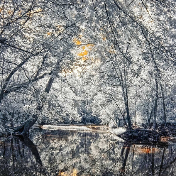 Photograph Larry Hamill Big Darby Creek on One Eyeland