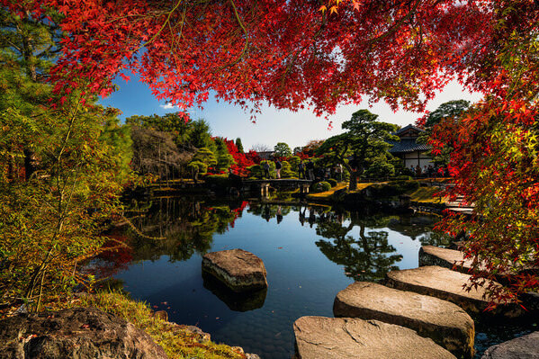 Photograph Mel Yukiina Silence Embraced In Crimson on One Eyeland