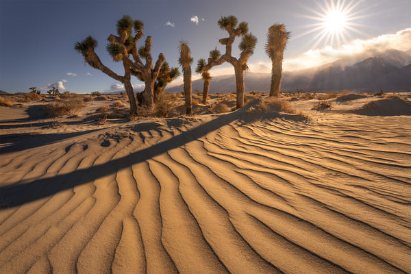 Photograph Markus Albert The Lonely Life on One Eyeland
