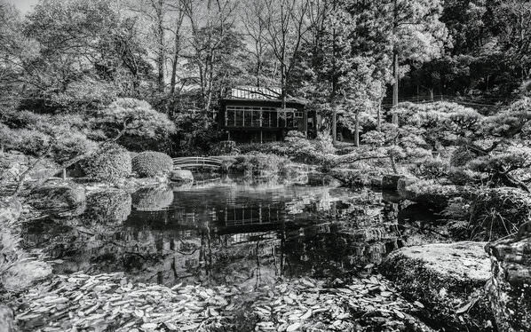 Photograph Mel Yukiina Japanese Garden on One Eyeland