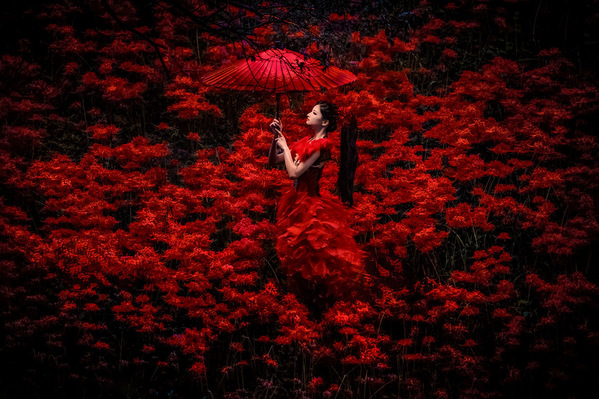 Photograph Haseo Hasegawa Burning Red on One Eyeland