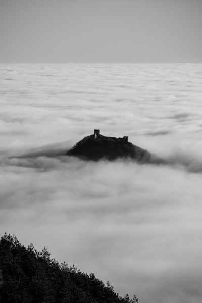 Photograph Alexander Shilov Asp_251214_058 on One Eyeland