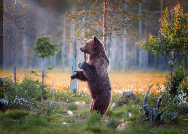 Photograph Guido Frazzini Checking The Surroundings on One Eyeland