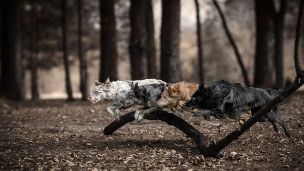 Photograph Lucie Nermutova Running As One on One Eyeland