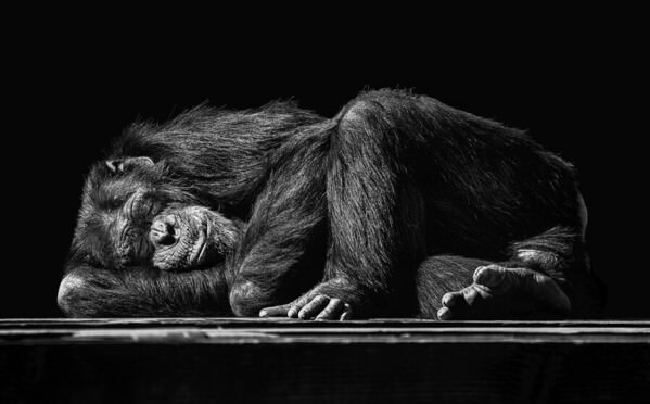 Photograph Kiyoshi Karimizu The Sleeping Man on One Eyeland
