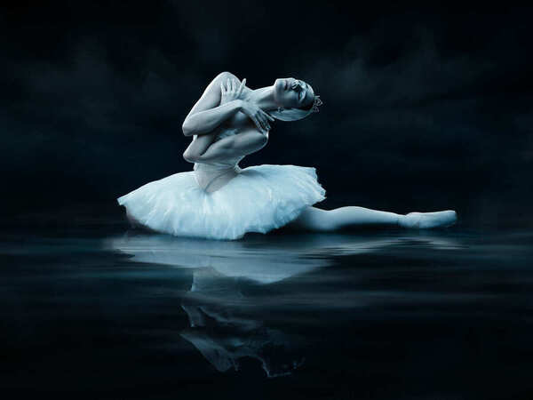 Photograph Sasha Onyshchenko Swan Lake on One Eyeland
