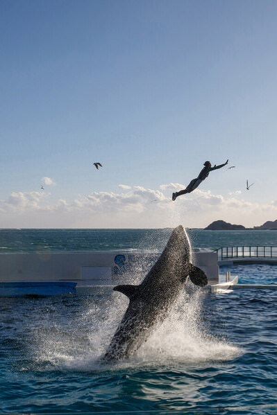 Photograph Setsuna Kurouzu Jump on One Eyeland