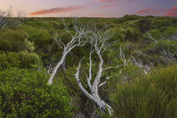 Photograph Steve Turner Australian Landscape on One Eyeland