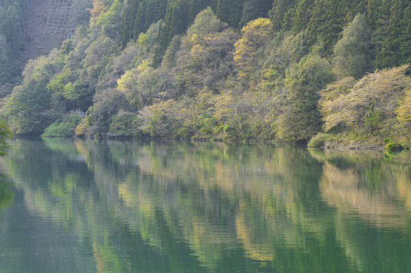 Photograph Mel Yukiina Light Green Fog on One Eyeland
