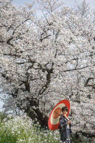 Photograph Setsuna Kurouzu Sakura In Japan on One Eyeland