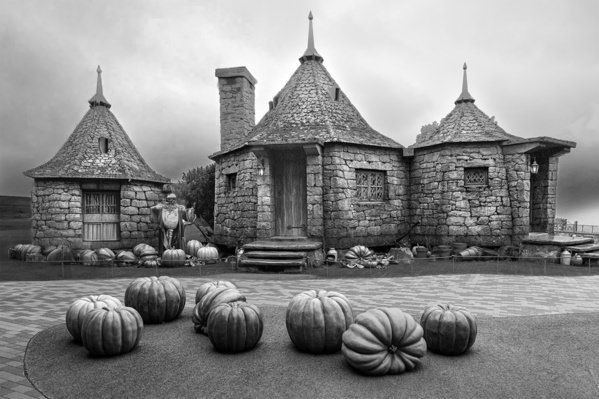 Photograph Mel Yukiina When The Harvest Keeper Left on One Eyeland