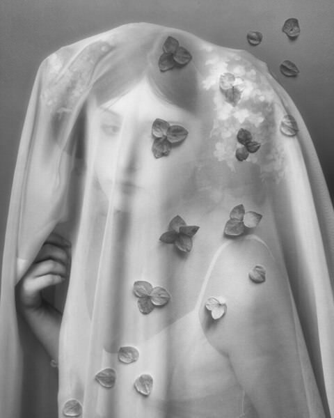 Photograph Yulia Nikiforova Fragility Of Nature on One Eyeland
