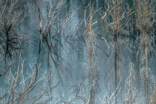 Photograph Mel Yukiina Lake Surface on One Eyeland