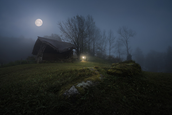 Photograph Jeroen Lagerwerf Little Bear Oracle on One Eyeland