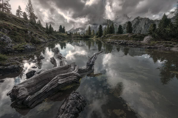Photograph Stefano Caccia In These Arms on One Eyeland