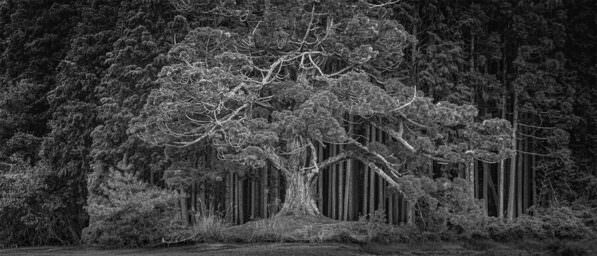 Photograph Mel Yukiina Structure Of Stillness on One Eyeland