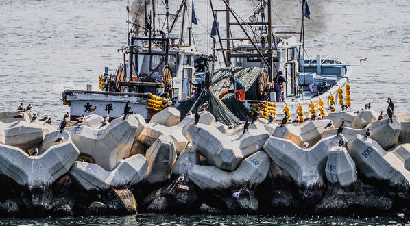 Photograph Mel Yukiina Harbor Decoration on One Eyeland