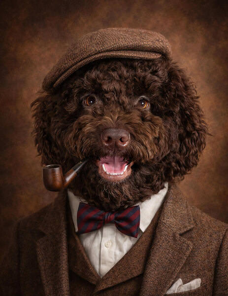 Photograph Natalia Matyukhina The Gentleman Lagotto Romagnolo on One Eyeland