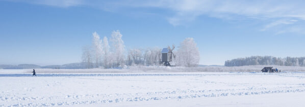 Photograph Petri Damsten Walking Away on One Eyeland