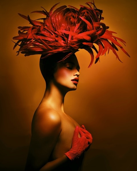 Photograph Tirdad Aghakhani Phoenix on One Eyeland