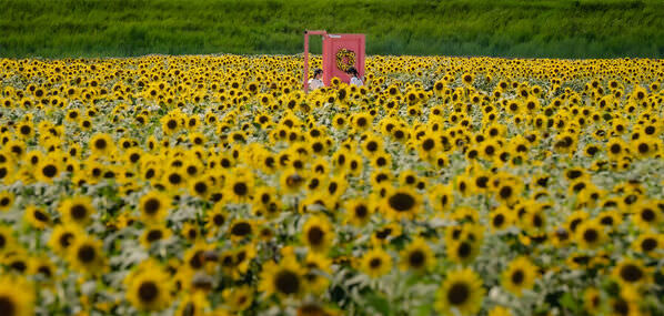 Photograph Mel Yukiina A Door To Summer on One Eyeland