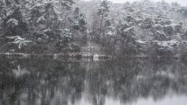 Photograph Mel Yukiina Whispers Of Winter on One Eyeland