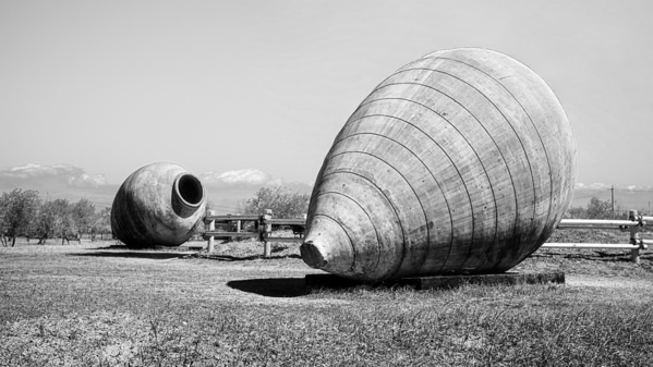 Photograph Mel Yukiina Legacy Of The Amphora on One Eyeland