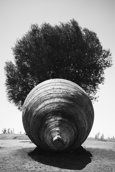 Photograph Mel Yukiina Crowned Amphora on One Eyeland