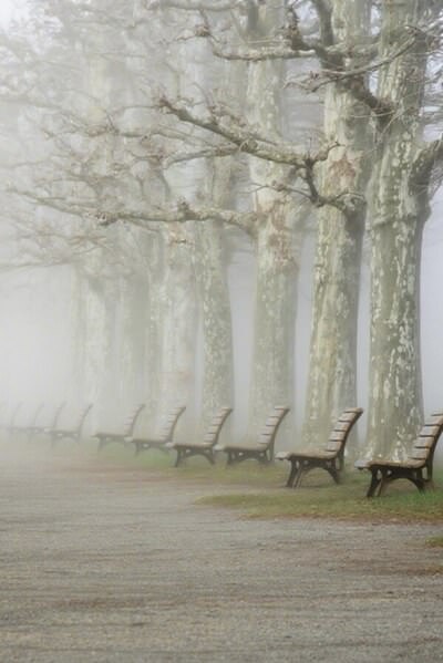 Photograph Marina Nagasaki Foggy Rhythm on One Eyeland